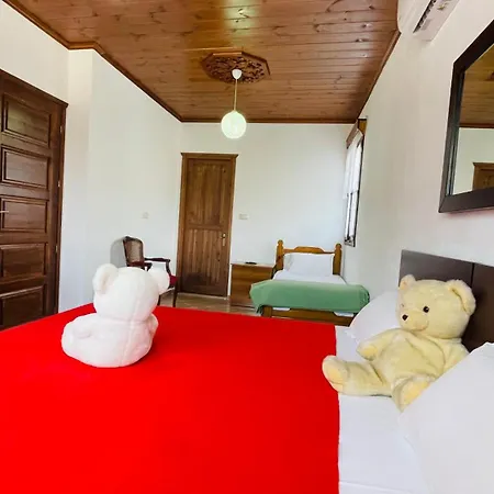 Denis House 1930 بيت ضيافة