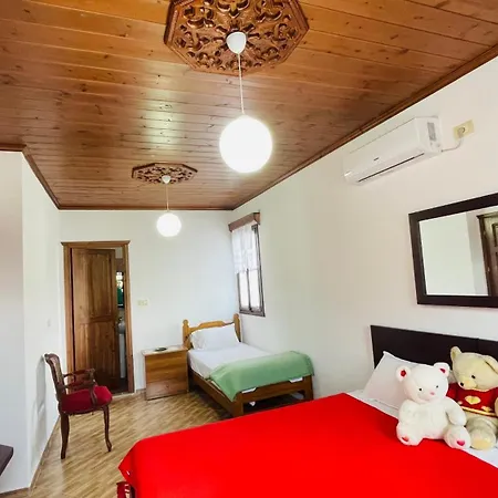Konukevi Denis House 1930 Gjirokastër