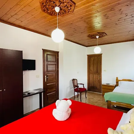 Denis House 1930 بيت ضيافة Gjirokastër