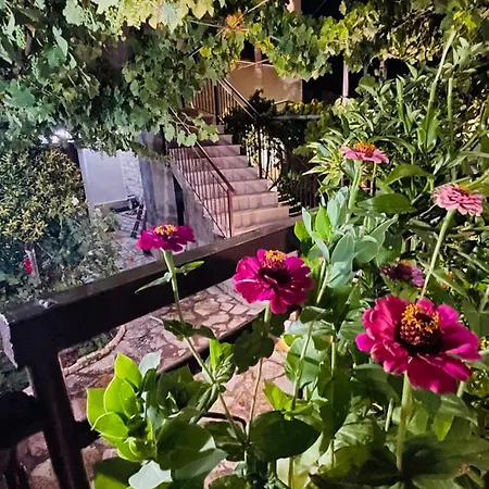 بيت ضيافة Denis House 1930 *